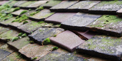 Swallowfield roof repair costs